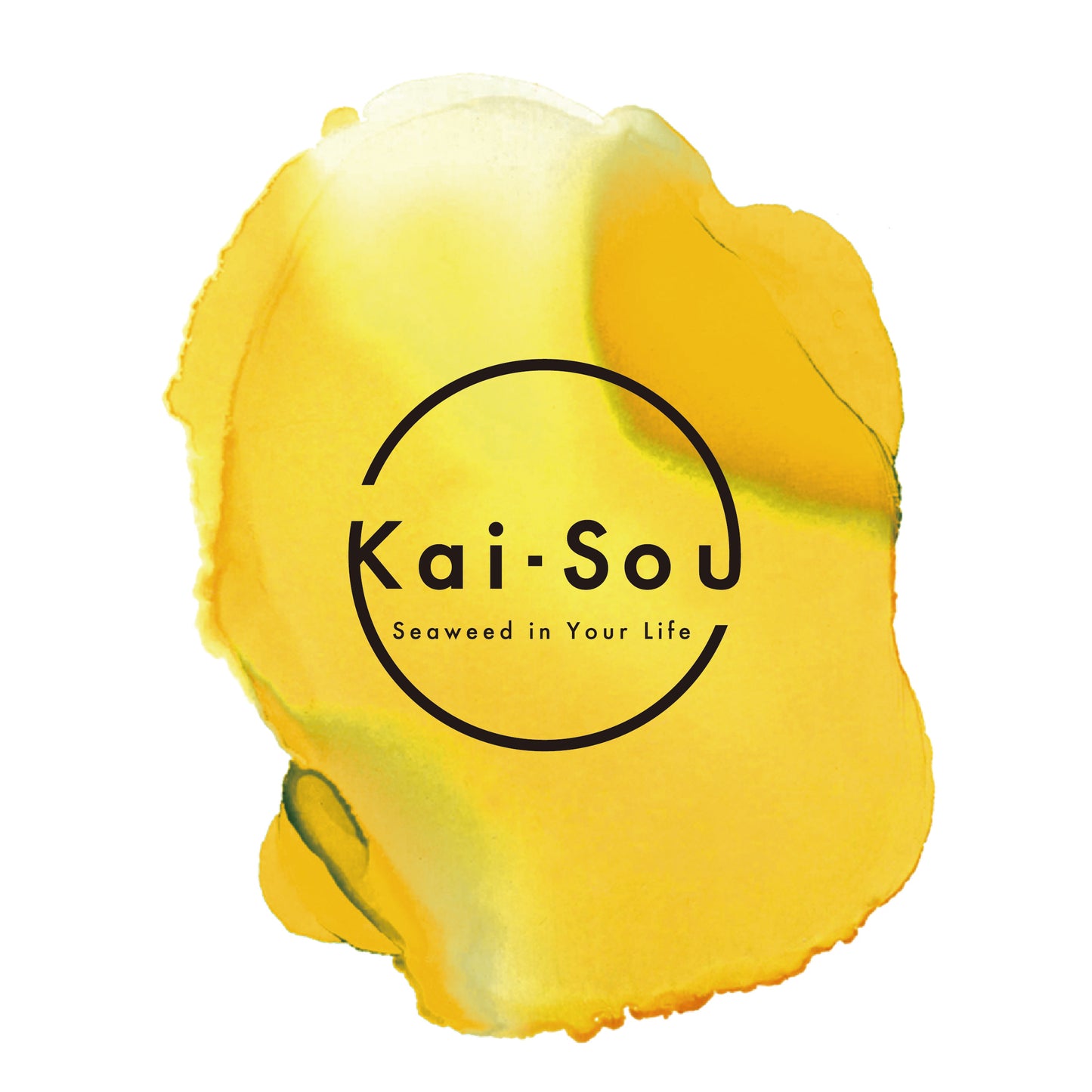 Kai-Sou スムージー(イエロー)