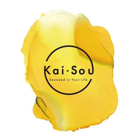 Kai-Sou スムージー(イエロー)